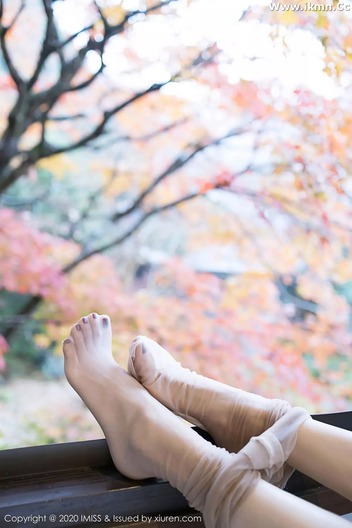 漂亮美女_小狐狸全集