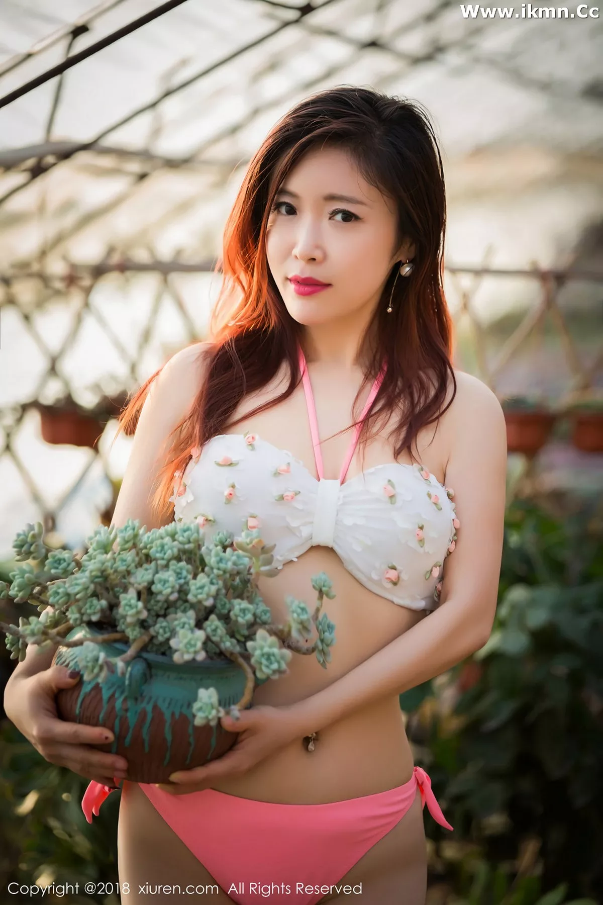 漂亮美女_西希白兔全集