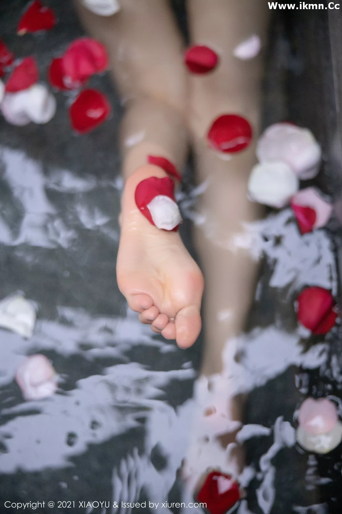 漂亮美女_杨晨晨全集