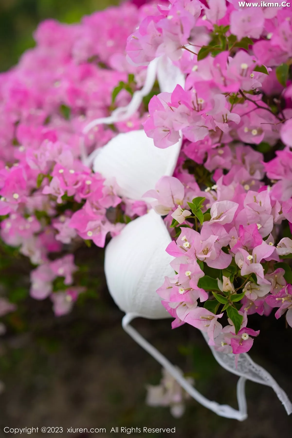 漂亮美女_阿姣全集 漂亮美女_阿姣全集