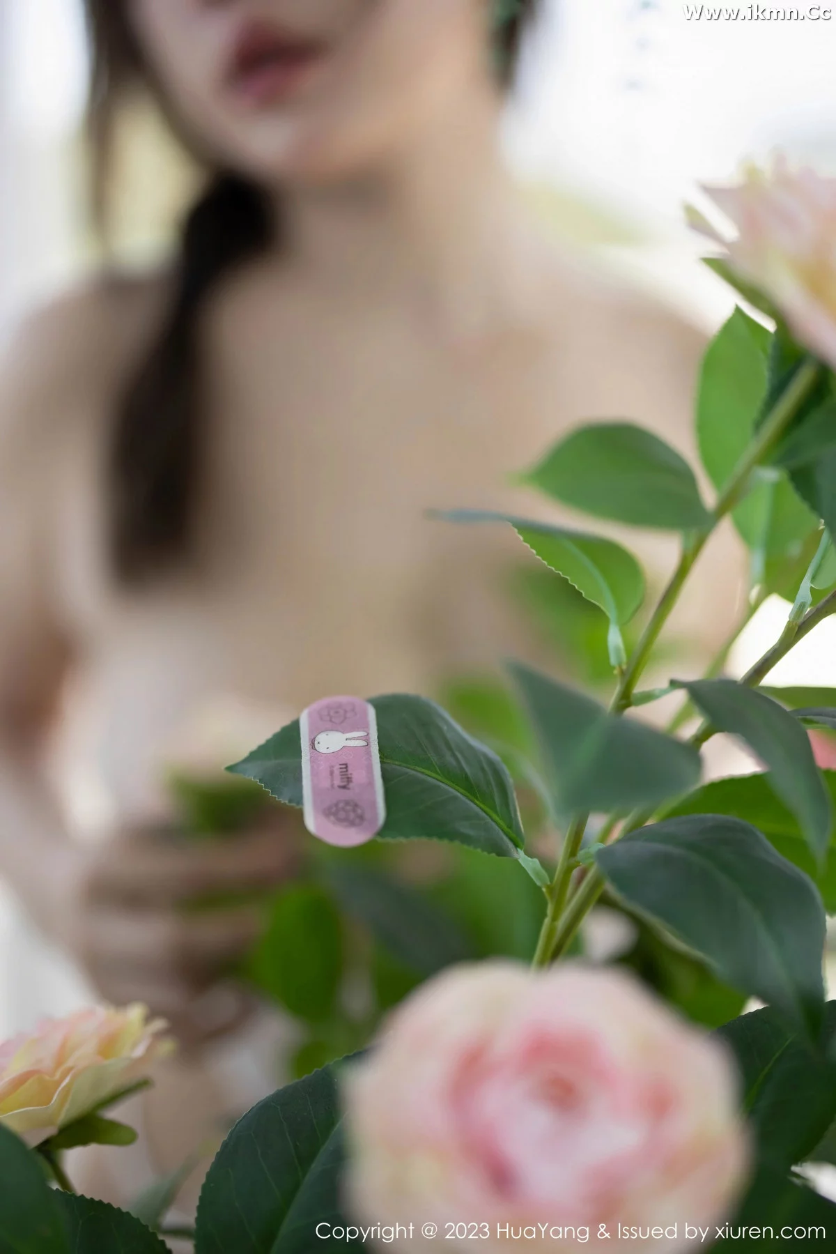 漂亮美女_王雨纯全集 漂亮美女_王雨纯全集