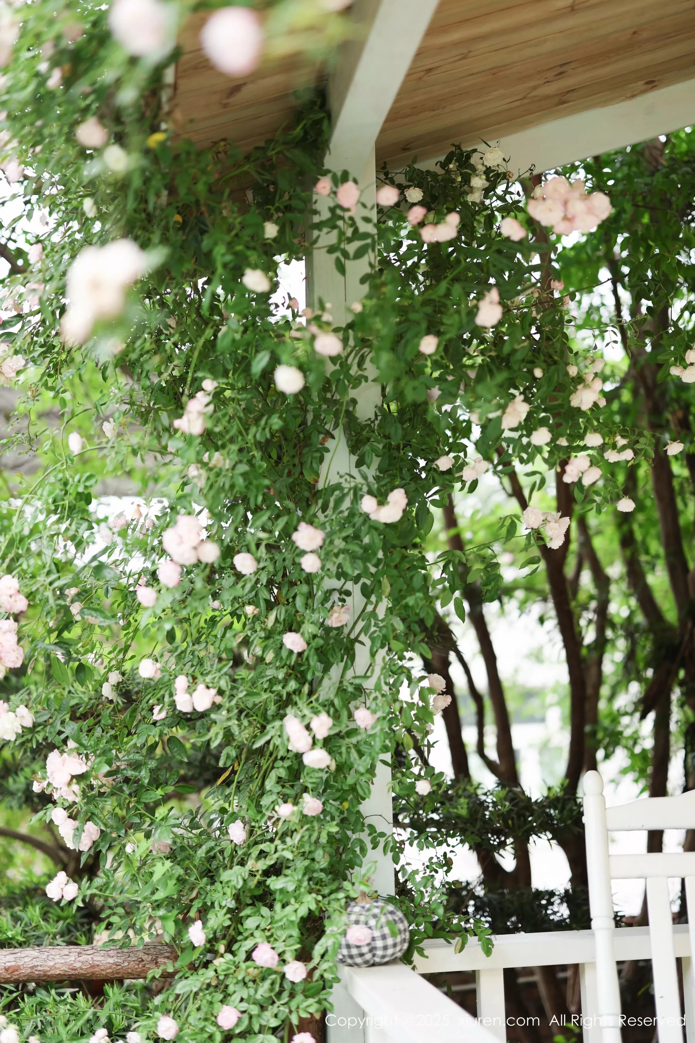 漂亮美女_茂木希子全集