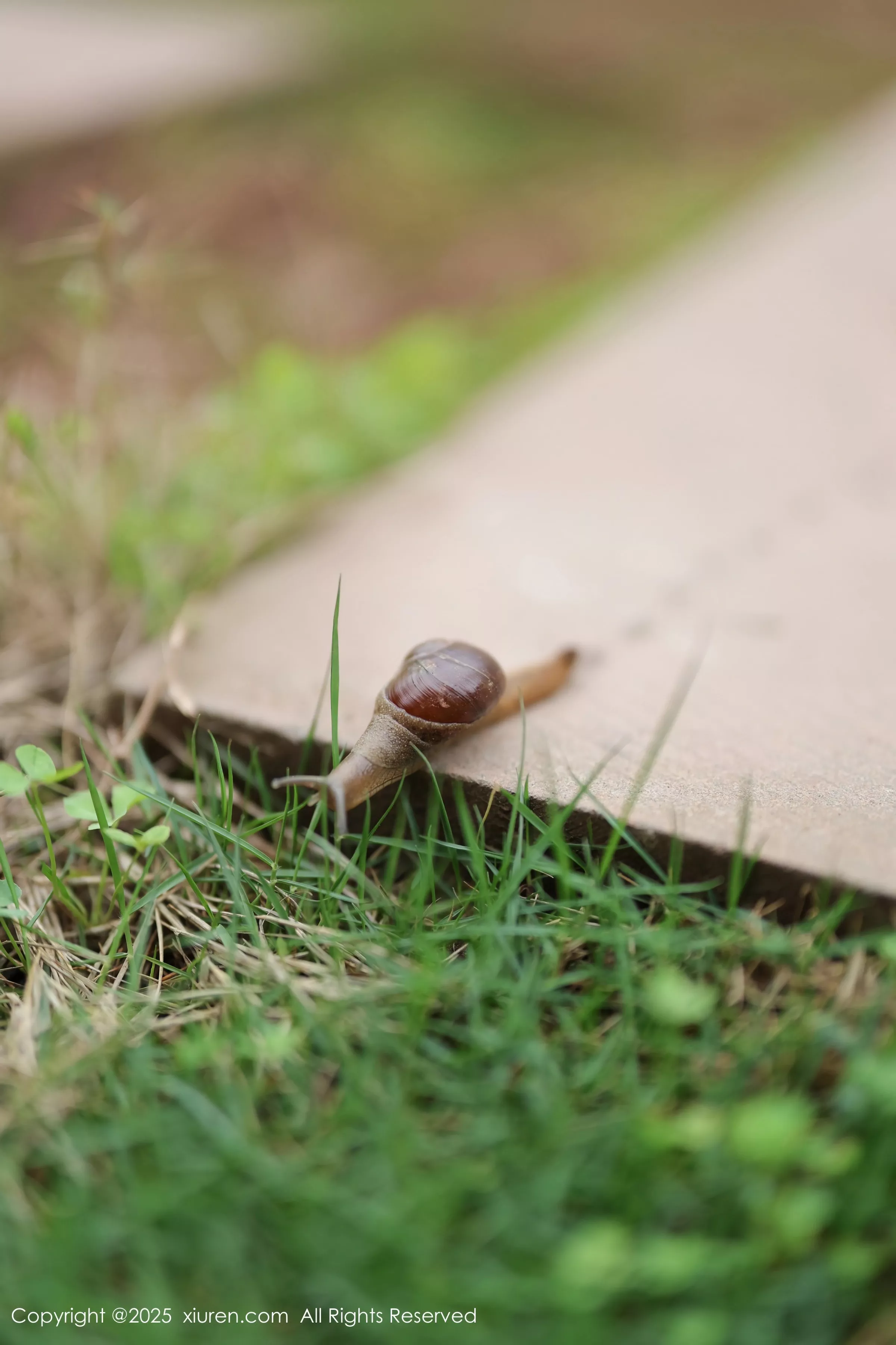 漂亮美女_茂木希子全集 漂亮美女_茂木希子全集