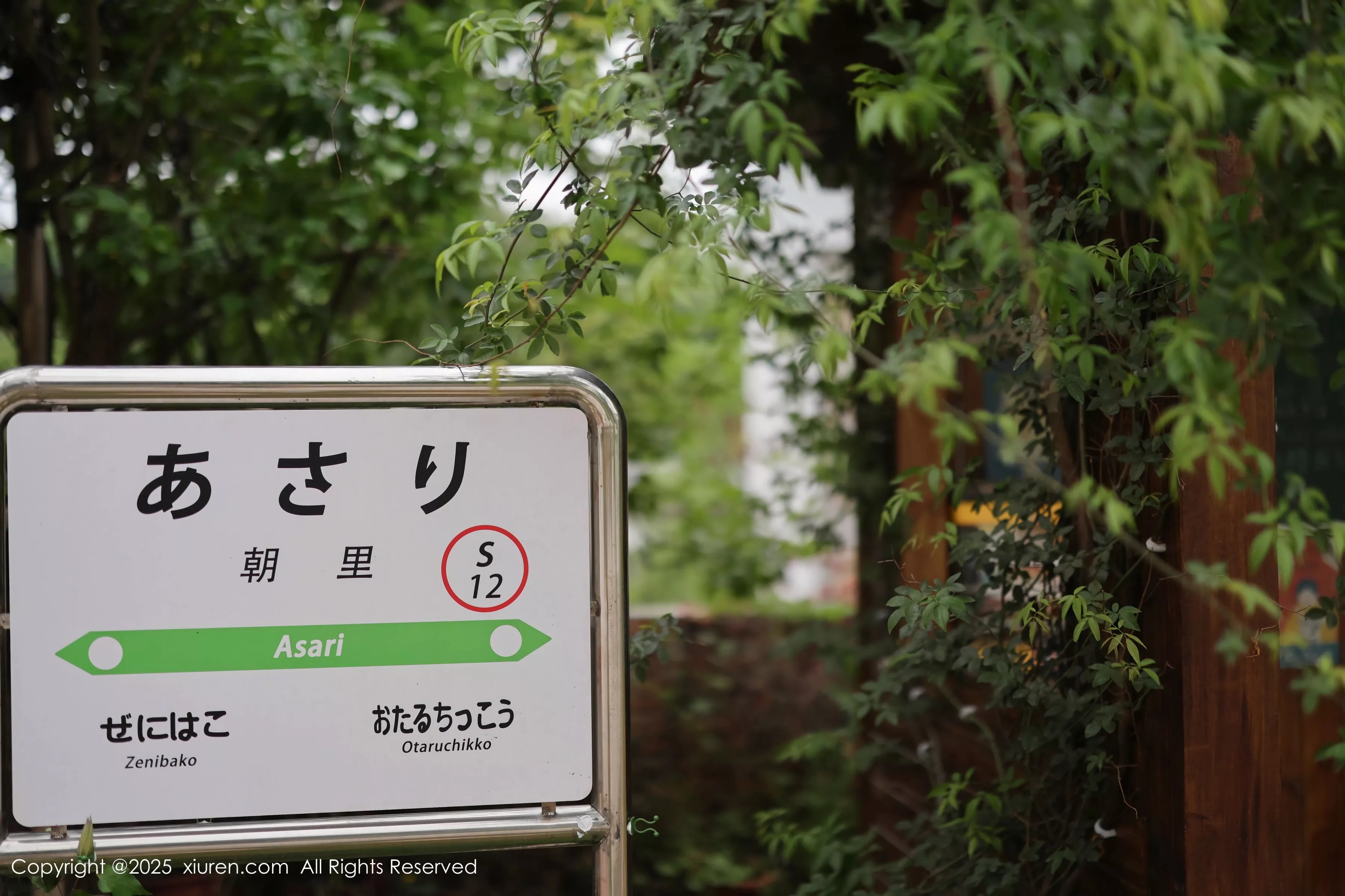 漂亮美女_茂木希子全集 漂亮美女_茂木希子全集