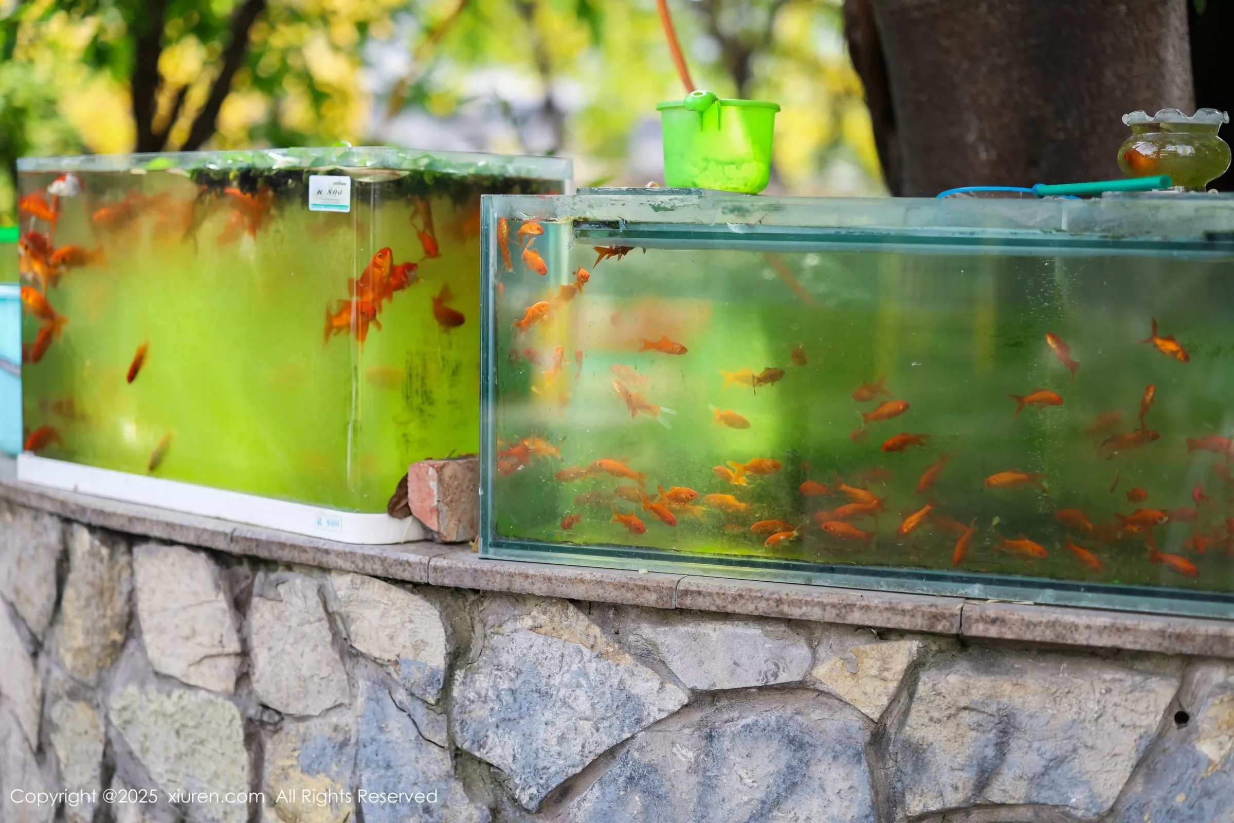 漂亮美女_茂木希子全集 漂亮美女_茂木希子全集